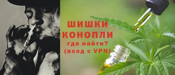 бошки Абаза