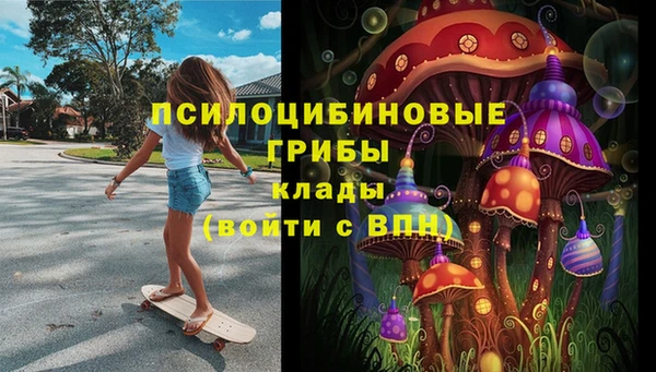 герыч Алзамай