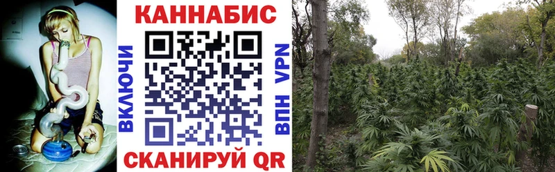 shop наркотические препараты  цены наркотик  Трёхгорный  Конопля конопля 